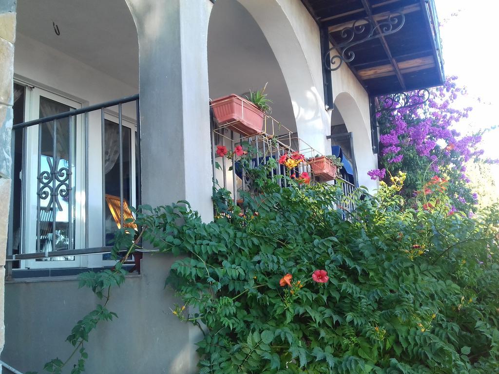 Apartments Pines Бар Екстериор снимка